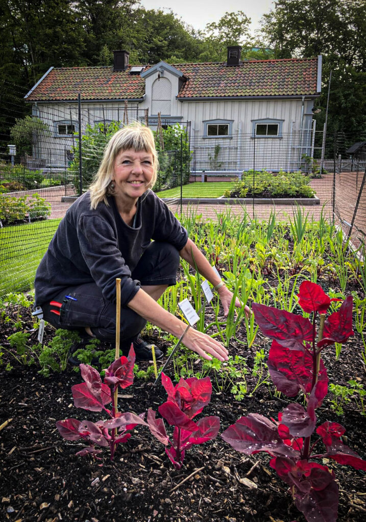 Anna-Carin Ek planterar och ler mot kameran.