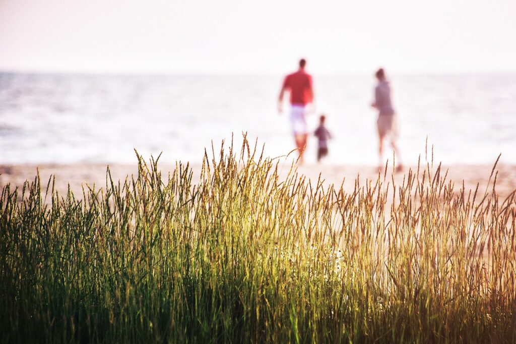 Fotot visar en strand där en familj på tre leker vid vattnet. I förgrunden visas högt gräs. 